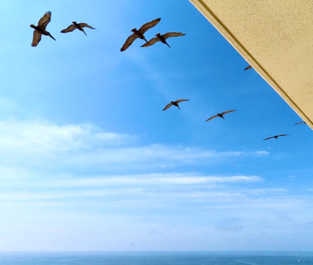 Just Updated - Beachfront Ocean View, 19Th Floor Destin Exteriér fotografie